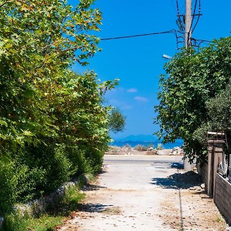 Lefkáda Borgo! Ευχάριστο Εξοχικό Σπίτι Δίπλα Στη Θάλασσα!!ヴィラ エクステリア 写真